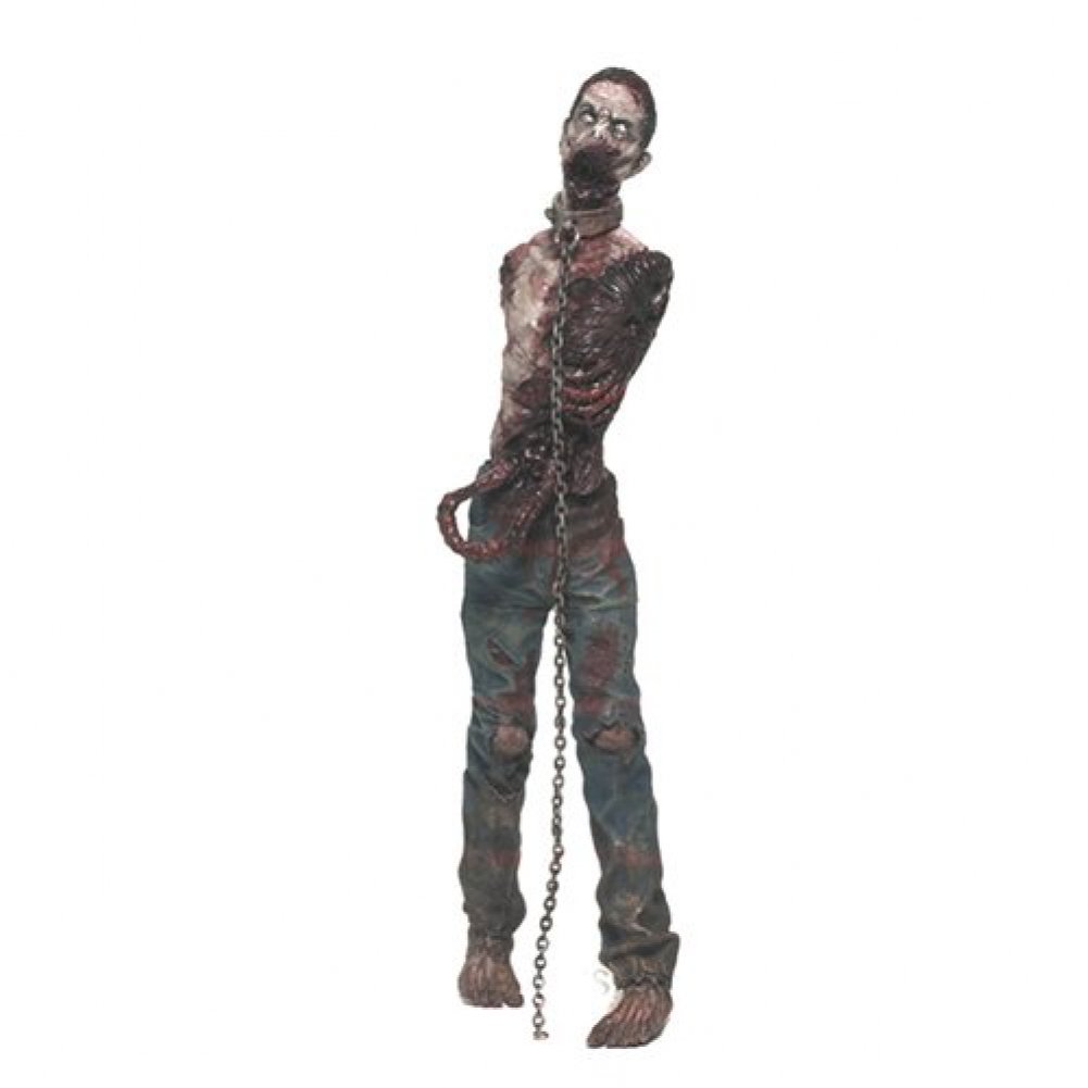 Amazon.com: McFarlane Toys The Walking Dead Comic Series 2